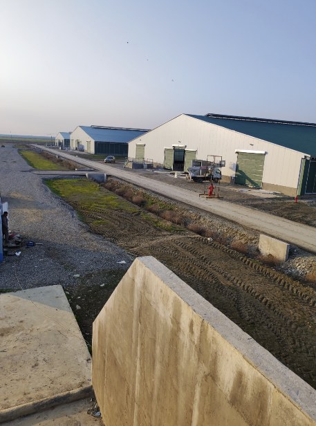 Cow barns in Azerbaijan