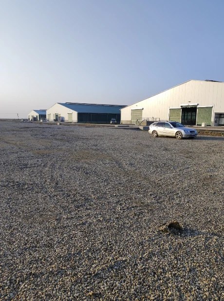 Dairy farm in Azerbaijan