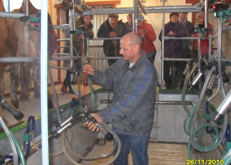 Milking parlour in Voronezh