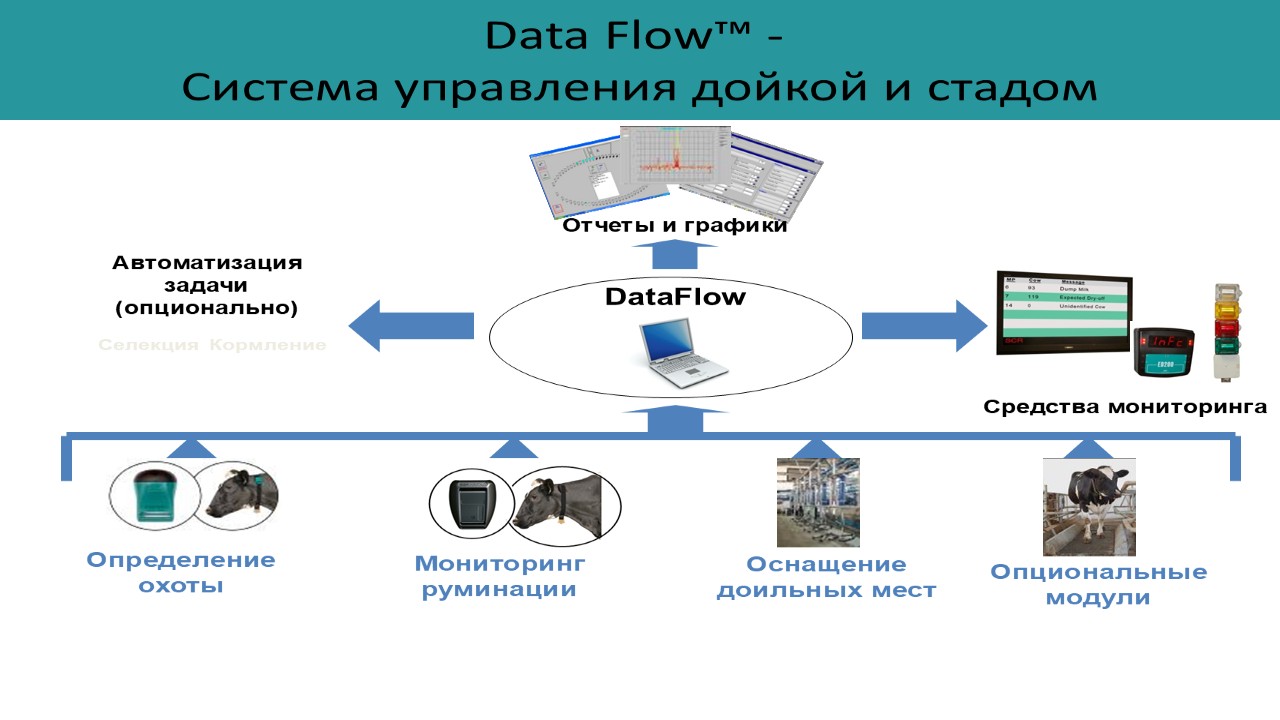Схема системы Data Flow