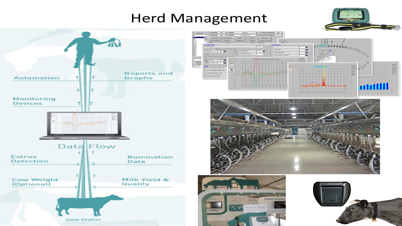 Herd management system diagram