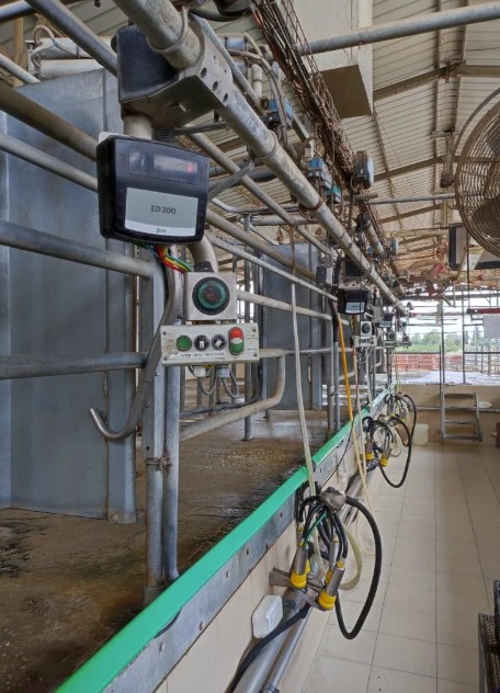 Milking parlour